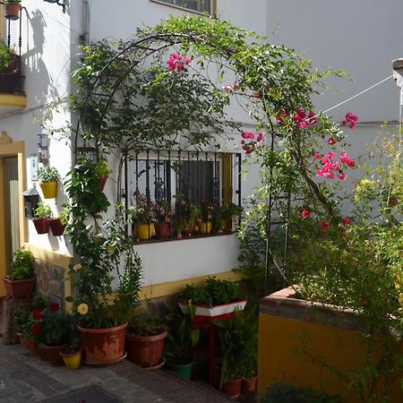 Finca El Molino De Aceite Jubrique Ngoại thất bức ảnh