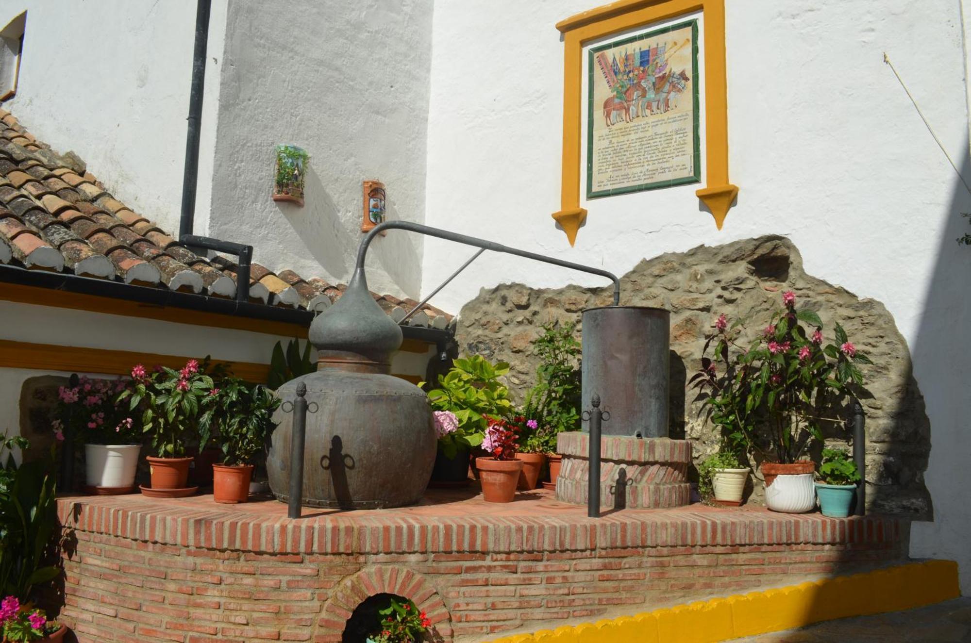 Finca El Molino De Aceite Jubrique Ngoại thất bức ảnh