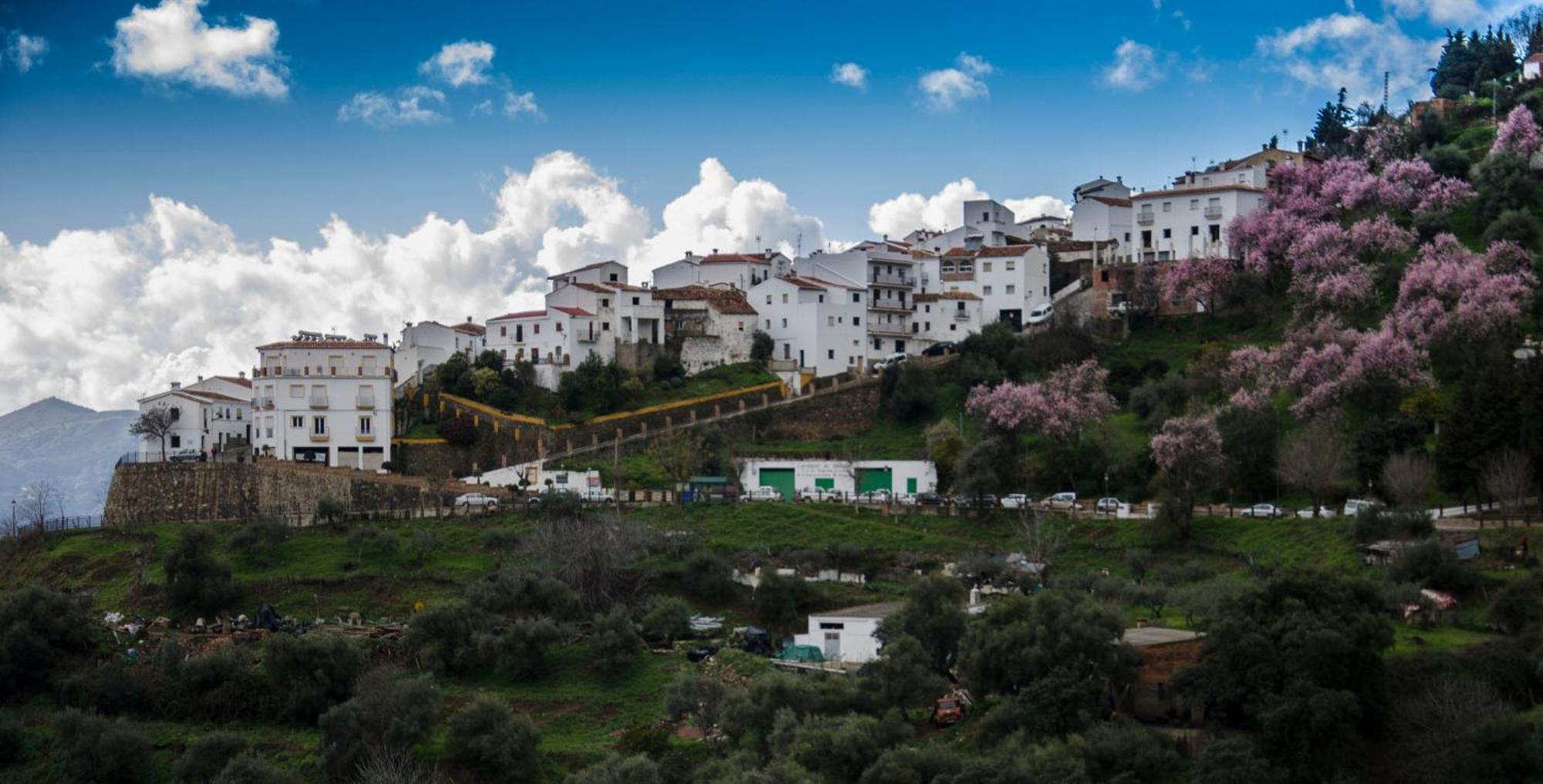 Finca El Molino De Aceite Jubrique Ngoại thất bức ảnh