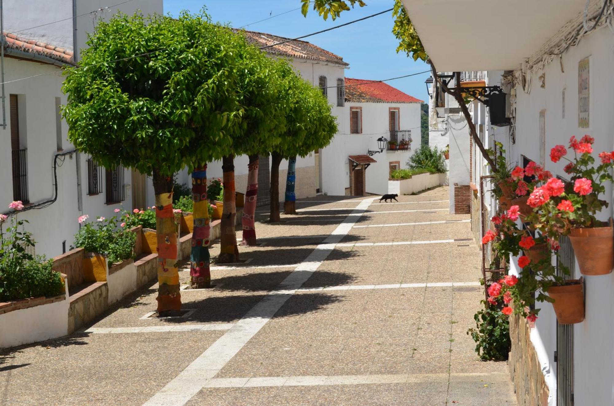 Finca El Molino De Aceite Jubrique Ngoại thất bức ảnh