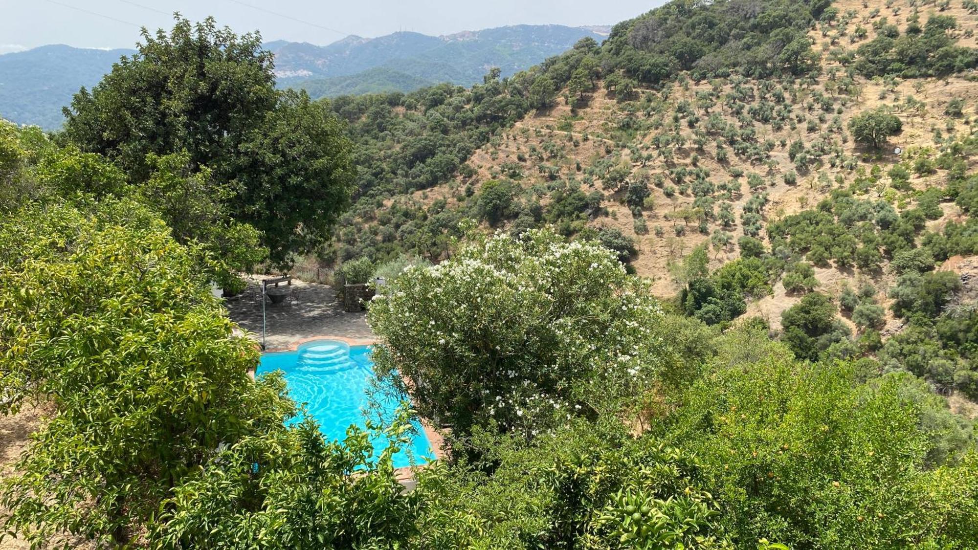 Finca El Molino De Aceite Jubrique Ngoại thất bức ảnh